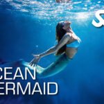 Ocean Mermaid