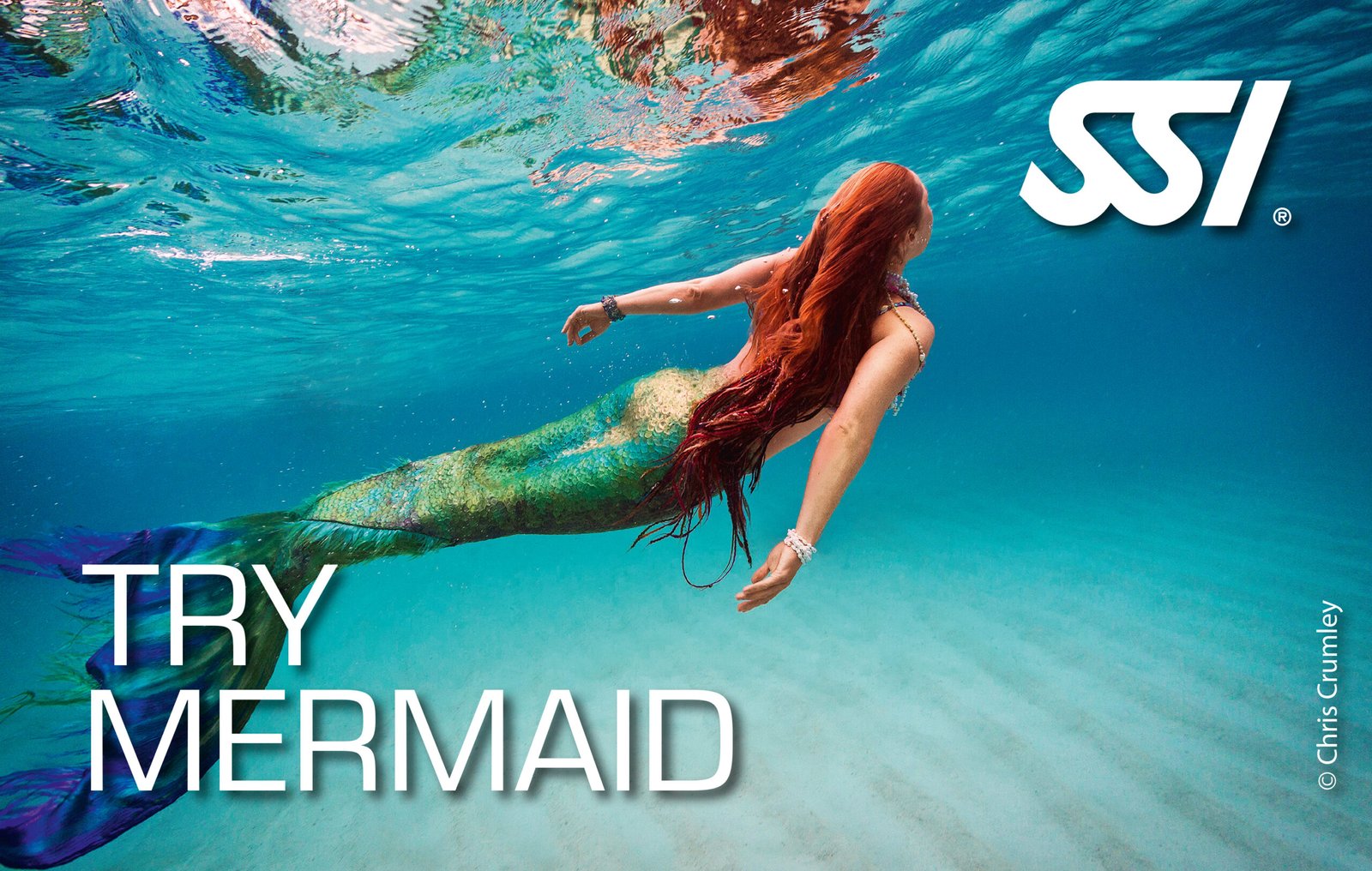 Rewers certyfikatu SSI – „Try Mermaid” z wizerunkiem syreny