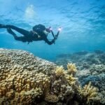 Zdjęcie Irena Stangierska