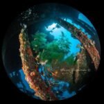 Zdjęcie Irena Stangierska