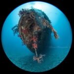 Zdjęcie Irena Stangierska