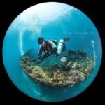 Zdjęcie Irena Stangierska