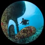 Zdjęcie Irena Stangierska