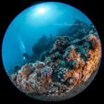 Zdjęcie Irena Stangierska