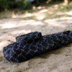 Plecak na Monopłetwę A